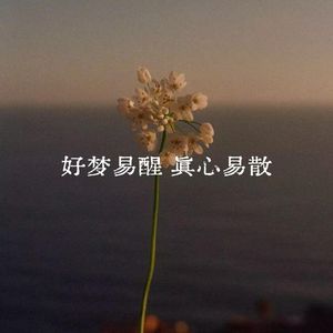 好梦易醒真心易散