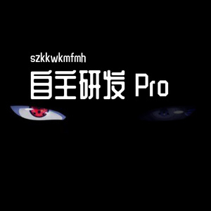 自己 pro