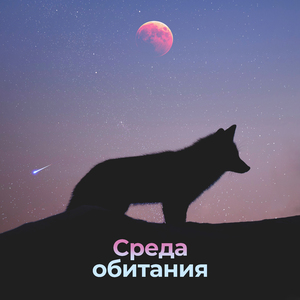 Холодные ветра