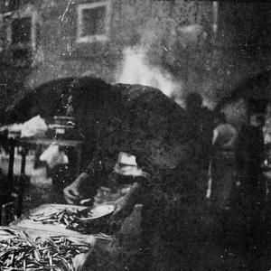 La nord sunt peștii ce-au rămas