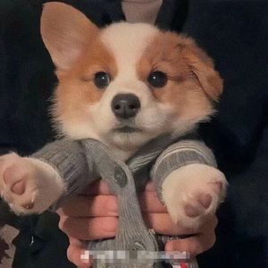 如果遗忘是残忍的幸福