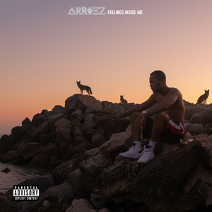 Outside My Feelings (Outro)