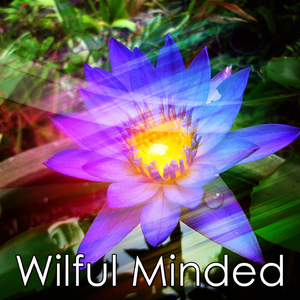 Rain in the Tree Tops