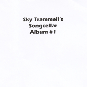 Dacing With the Dolphins