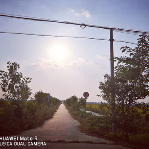 Way Back Home（中文版）