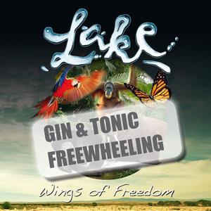 Gin and Tonic