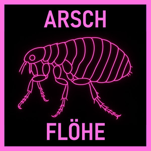 Arschflöhe