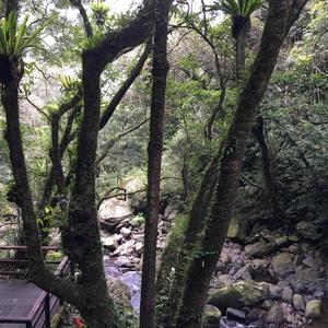 Silent Waters (Instrumental) (Instrumental)