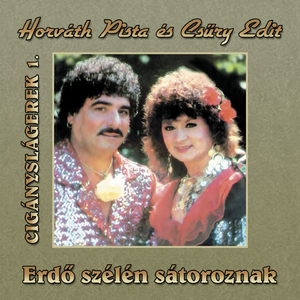 Valamit Súgok Magának