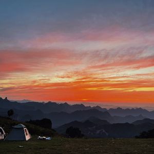 它的小玩具还堆在床头