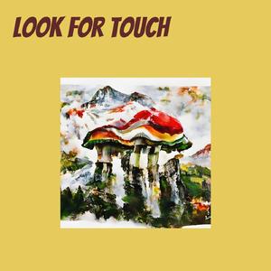 Look for Touch