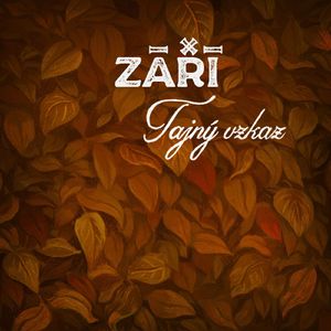Tajný vzkaz