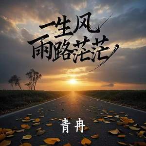 一生风雨路茫茫