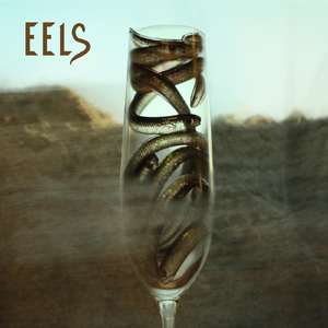 Eels