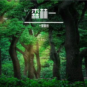 霓裳舞