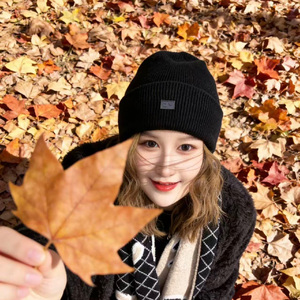 丹枫秋柬-敖道胡