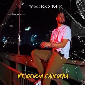 Diligencia Callegera