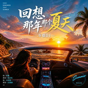 回想那年那个夏天 （车载 DJ）