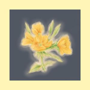 Evening PrimROSE