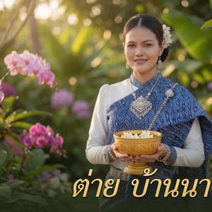 คืนฝนกอดหมอนขาด
