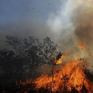 Op. 22 (alt. take II)