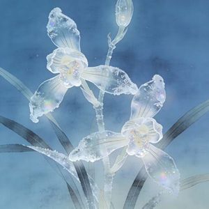 GAI“兰花草” 国风 Boombap Beat