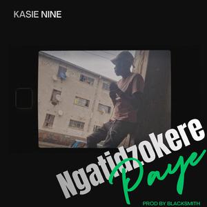 Ngatidzokere Paye
