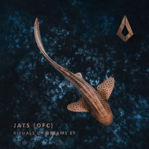 Lost Planet (Extended Mix)