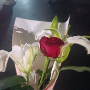 忏悔录_翻自（KKECHO)）