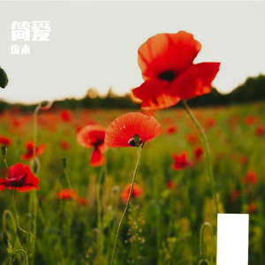 简爱