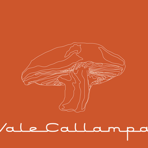 Tirate (Album Version)