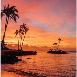 夏日晚风来信时