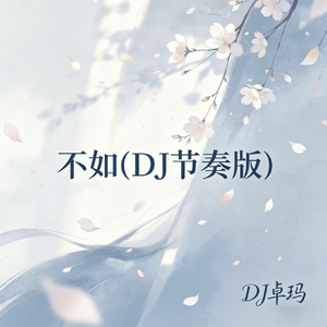 不如(DJ节奏版)