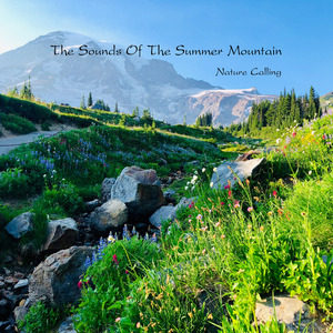 여름밤에 담은 산소리