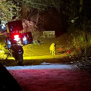 在平静日子里泛起的涟漪