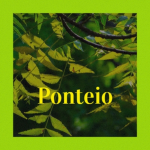 Ponteio
