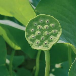 我的故事不感人 伴奏