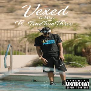 Vexed (G-Mix) (feat. Traetwothree)