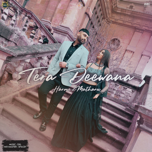 Tera Deewana
