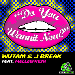 Do You Wannit Now (Original Mix)