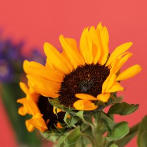 欢快 愉悦 重新开始