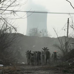 【不可售卖】"将谓田中谷自生" SASIOVERLXRD&BOBBYNOPEACE TYPEBEAT