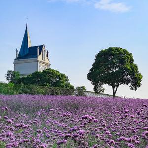 Happy birthday生日快乐（和声）