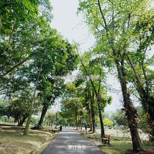 适合办公室工作丰富的音乐