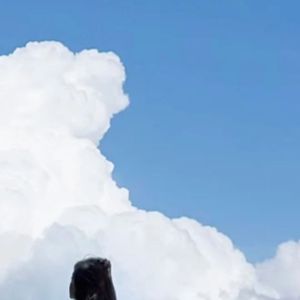 夜空中最亮的星