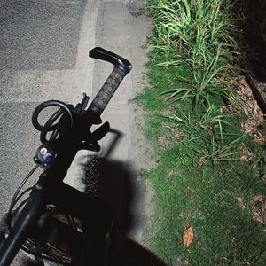 蓝紫花瓣（demo）