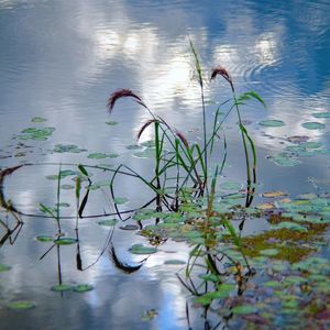 【FREE】痛苦吉他 "ALL for me" Guitar Type Beat