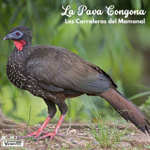 Canto del Pescador