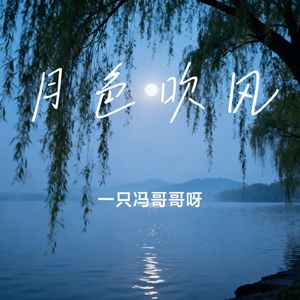 月色吹风
