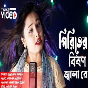 পিরিতের বিষণ জ্বালা রে | Piriteri Bishon Jala Re | Gunshana Parbin | Bangla New Song 2024